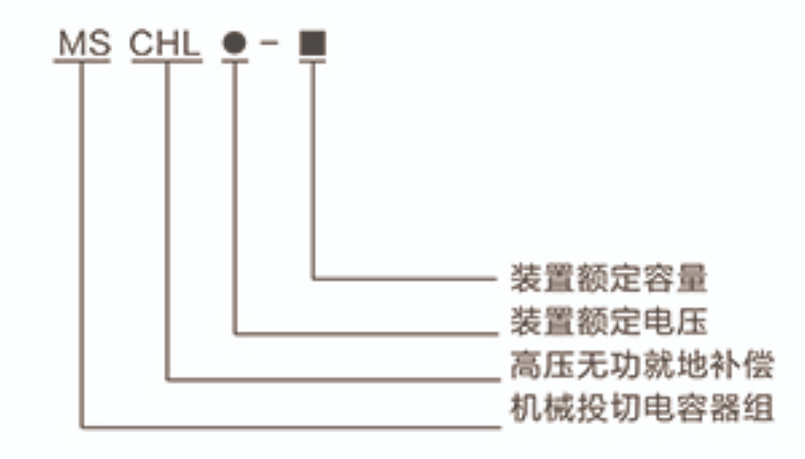 MSCHL高壓無功就地補(bǔ)償型號含義